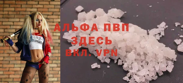 молекула духа Протвино