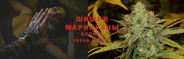 молекула духа Протвино