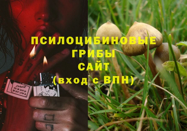 мет Рославль