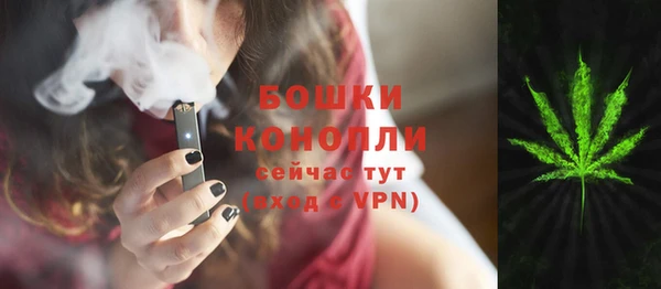 дживик Россошь