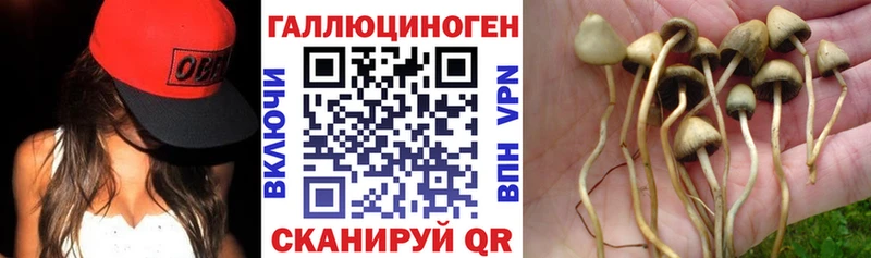 что такое наркотик  Усолье-Сибирское  Псилоцибиновые грибы Psilocybine cubensis 