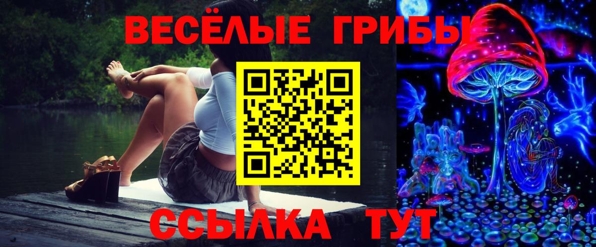 Галлюциногенные грибы GOLDEN TEACHER  Вход с VPN  наркота  Усолье-Сибирское 