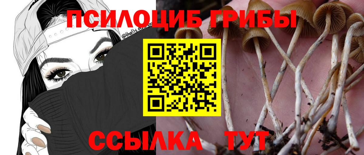 Галлюциногенные грибы GOLDEN TEACHER Усолье-Сибирское